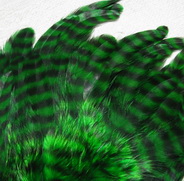 ������� ���� Hen feathers ������ �������